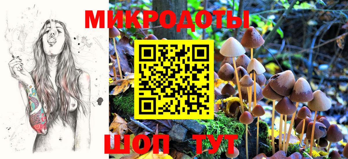 Галлюциногенные грибы Psilocybine cubensis Сыктывкар