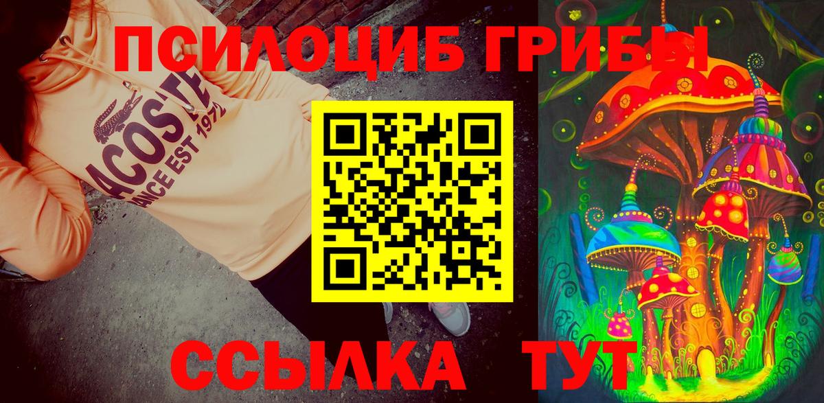 Сыктывкар  хочу наркоту  Вход с VPN  Галлюциногенные грибы Magic Shrooms 